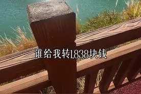 谁给我转1838块钱？等到情人节那天，我就装成你的舔狗给你转1314、520，显得你贼有面，我就赚4块，喝杯蜜雪冰城的柠檬水#情人节视频封面