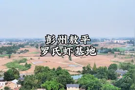 我们彭州的敖平！！这个罗氏虾基地实在是太美了#彭州 #罗氏虾视频封面