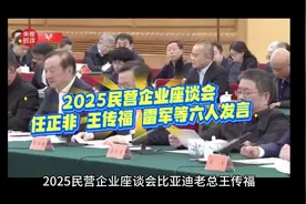 2025民营企业座谈会任正非王传福雷军等六人发言 #比亚迪王传福视频封面