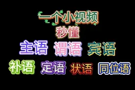 一个视频秒懂主语谓语宾语补语定语状语和同位语 #英语语法视频封面