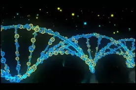 人体的第20号染色体，刻录着人类的禁忌，解释了为何不能同类相食视频封面