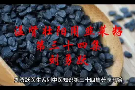 温肾壮阳用韭菜子的故事#中医 #养生 #中医药文化 #中药本草视频封面