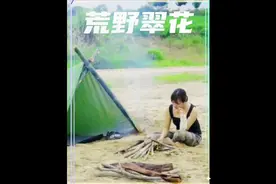 翠花因为加班，胳膊摔断了就被老板炒了鱿鱼，只能继续浪迹天涯咯视频封面