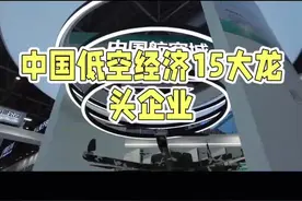 中国低空经济的15大龙头企业 #科技创新 #制造业 #科技 #企业 #大国科技视频封面