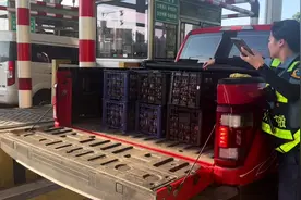 实测皮卡过绿通的过程和注意事项视频封面