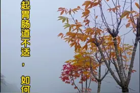 化疗为什么会引起胃肠道不适症状，如何应对？#医学科普 #化疗的副作用视频封面