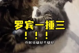 看起来还是更爱小娇妻……视频封面