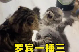 看起来还是更爱小娇妻……视频封面