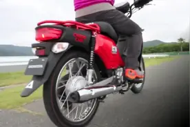 本田幼兽110 cub110#摩托车 #性价比高的摩托车推荐视频封面