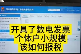 数电发票后，个体户小规模申报增值税完整流程来了#个体户 #报税视频封面