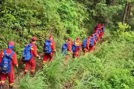 莆田市石谷解走失8岁儿童最新消息 2025年5月4日莆田市石谷解走失8岁儿童，各救援队争分夺秒，日夜不停对石谷解进行地毯式搜寻，到目前超200个小时还未找到，30多支救援队目前继续寻找中，愿走失孩子一切安好，向搜救的所有爱心人士们致敬。#石谷解失踪小孩最新消息 #福建dou知道 #救援 #救援现场 #祈求平安视频封面