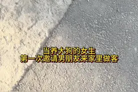 养大狗之后的精神状态 #万物可爱计划 #内容过于真实 #文明养犬 #捷克狼犬 #大型犬的温柔视频封面