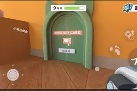 #233乐园#奶奶的贴心小猫