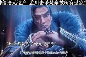 元神偷沧元遗产 孟川击杀楚雍被所有世家针对视频封面