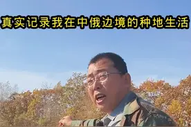 中俄边境村子里收割大豆，大型农机齐上阵 #dou上热门 #三农 #新农人计划2024 #秋收视频封面