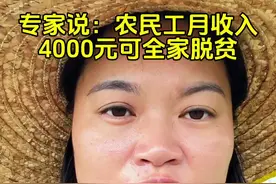 专家说：农民工月收入4000元可全家脱贫#农民收入 #乡村振兴#三农#新农人2024