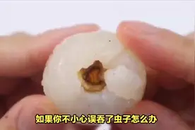 误吞虫子不慌张#科普一下 #虫子 #奇妙知识在抖音 #1000粉丝计划视频封面