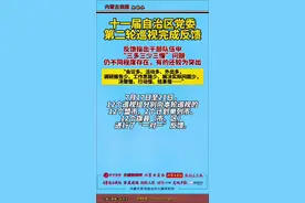 十一届自治区党委第二轮巡视完成反馈：反馈指出干部队伍中“三多三少三慢”问题仍不同程度存在，有的还较为突出视频封面
