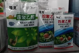塔龙 6%四聚乙醛甘蓝蜗牛药专杀颗粒剂 撒施灭蜗牛蜗牛#农资肥料