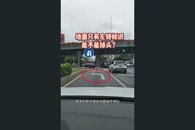 老司机来说说，地面只有左转标识、能不能掉头？ #每天一个用车知识 #红绿灯