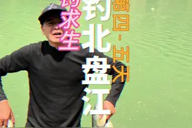 挑战在北盘江荒野垂钓求生第四五天，鱼情太暴躁了#北盘江荒野求生 #北盘江钓鱼人#阿明游钓中国#原来钓鱼才是抖音运动顶流视频封面