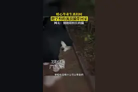 #东莞 一毕业生离校时，把学校里的流浪猫带回家当作纪念，网友：别错把校长的猫带走。@广东科技学院 #猫星人 #流浪猫 #毕业视频封面