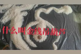 藏经28课阴宅之一，金线吊葫芦是什么形成？