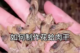 #制作花蛤肉干 #花蛤