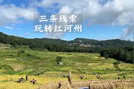 三条线看懂红河州，红河在云南是怎样的存在#有一种叫云南的生活