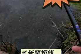 为什么不同的地方鲤鱼还是会在同一天甩籽呢？#原来钓鱼才是抖音运动顶流 #钓鱼 #春天的鱼应该怎么钓 #中逵钓鱼王30周年正青春 @中逵创始人视频封面