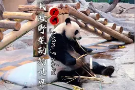 假期带娃最好去处，遛娃还能涨见识！收好攻略，轻松玩耍视频封面