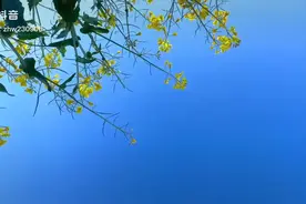 我对你的爱永远不会改变，希望你也一样，