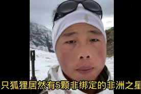 #三角洲行动 三角洲行动 半只狐狸居然有5颗非绑定的非洲之星