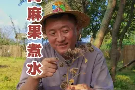 苘麻果煮水喝，有种淡淡的甘草香甜。#巨好玩计划  #苘麻果 #记录我的农村生活 #植物 #三农流量扶持计划 @抖音创作者中心