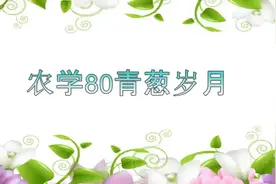 黑龙江八一农垦大学农学80#同学情视频封面