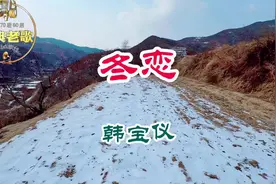 韩宝仪《冬恋》一片相思无人知，太好听了#创作灵感 #音乐分享