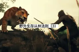 野外丛林求生法则，当你遇到这几种情况，危机时刻可以救你一命视频封面