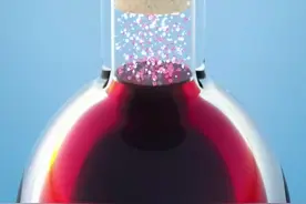 葡萄酒为什么要用软木塞？ #知识科普 #涨知识 #科学探索视频封面