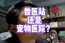 兽医站和宠物医院的区别 #vlog日常 #萌宠 #狗狗 #猫 #法斗