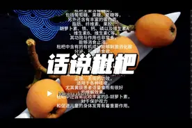 话说枇杷#枇杷季节吃枇杷 #枇杷果有什么作用和功效视频封面