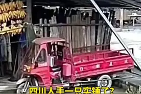 四川人手一只实锤了？野生大熊猫下山进村溜达，大摇大摆旁若无人 #四川 #雅安 #大熊猫视频封面