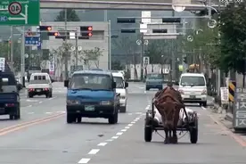 如果离开以后，得到的会是什么………视频封面