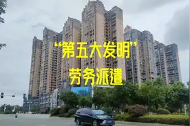 “第五大发明”劳务派遣。#思维 #认知 #现实视频封面