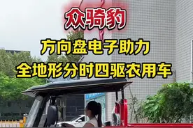 #全地形越野车 #四驱农用车 #山地运输车视频封面