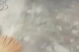 ，蛇被视为吉祥的象征，尤其是“小龙”的化身。蛇进家门被认为是一种吉兆，预示着家宅平安和财富的到来。例如，蛇被视为“青龙入宅””，象征着吉祥 与富贵 、此外，有些地方认为蛇是已故亲人的化身，它们的到来意味着亲人回家探望，因此不能驱赶或伤害 #见者好运 大富大贵#视频封面