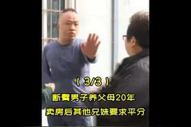 断臂小儿子独自赡养父母20年，卖房后兄妹3人突然出现要求平分。视频封面