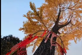 出来了，又进去了。#道家文化 #医院视频封面