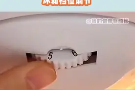 如果你需要这个冷知识的话，90％你是租房子的#冰箱视频封面