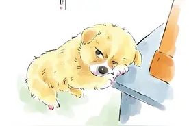 狗狗:我能留下来吗？求你疼我好吗？（素材来源@小丫鱼和福宝 ）#狗狗#狗狗的心思都写在脸上了 #感人 #画画#艺术在抖音视频封面