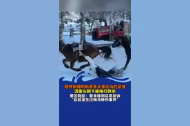 网传新疆阿勒泰禾木景区马匹受惊，游客头朝下被拖行数米，景区回应：暂未接到这类投诉“此前发生过骑马摔伤事件”（青岛新闻网/青新视频记者 吴阳）#新疆#阿勒泰#禾木景区#骑马摔伤#马匹受惊视频封面